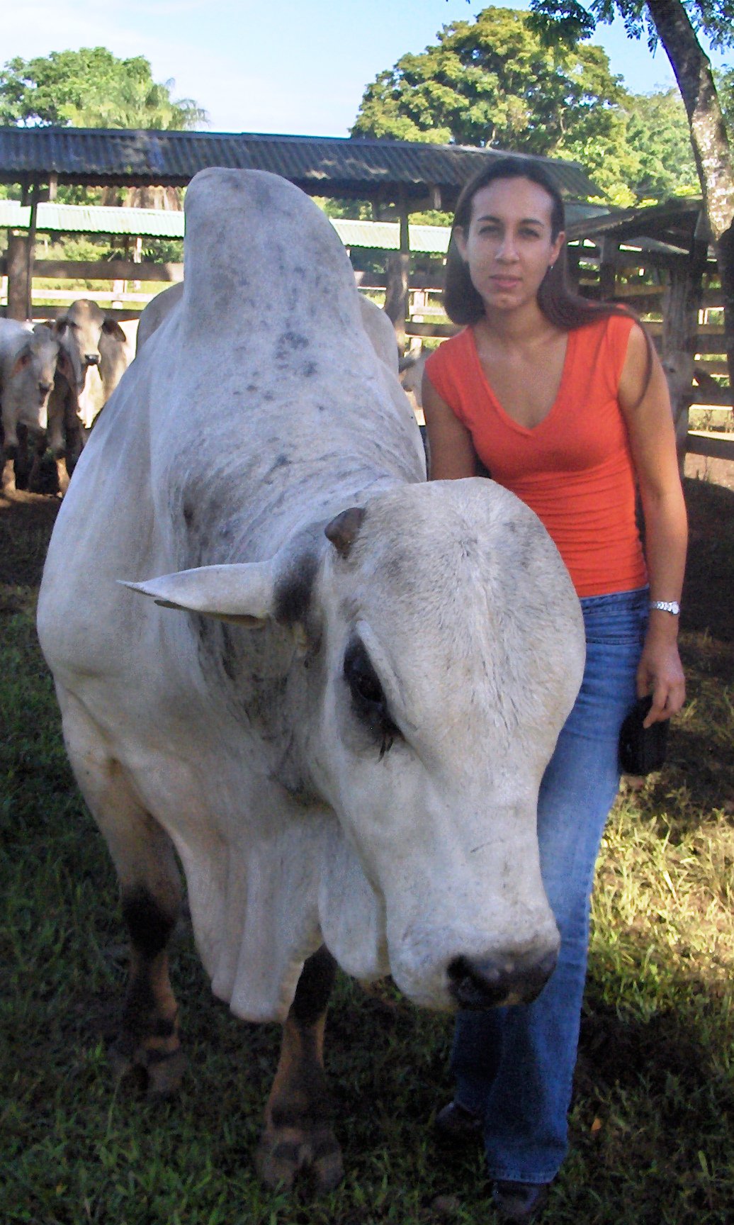 Finca Quepos