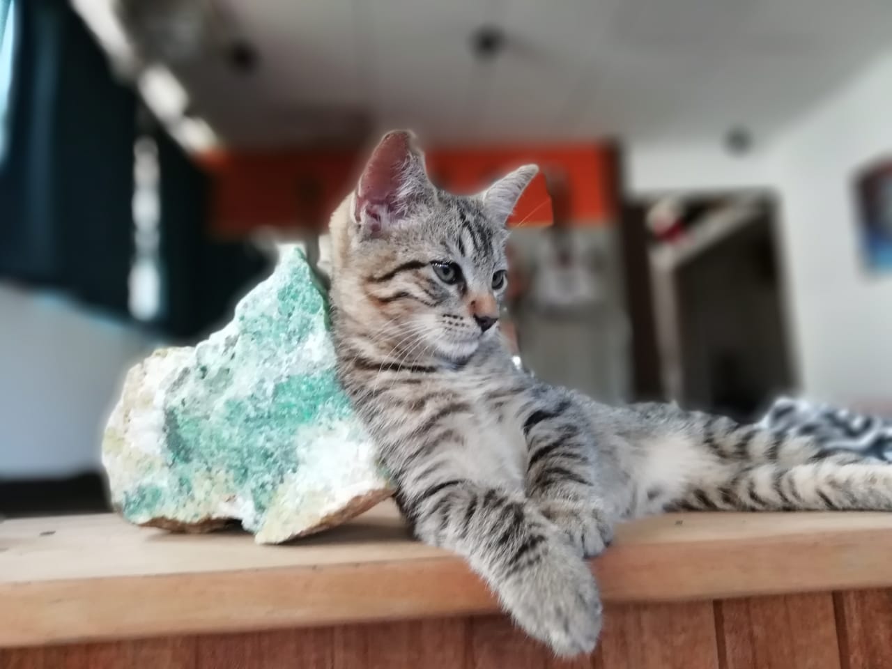 NINO Y LA PIEDRA